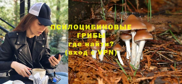 ALPHA PVP Заводоуковск