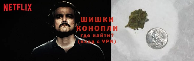 Альфа ПВП Заволжье