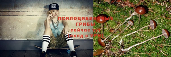 ALPHA PVP Заводоуковск
